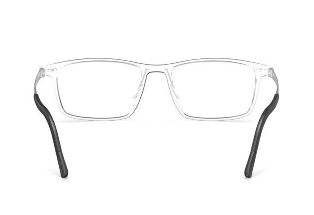 Silhouette 2939 75 1000