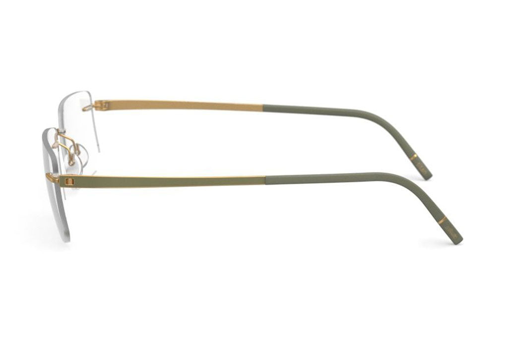 Silhouette 5529 EY 7620 3