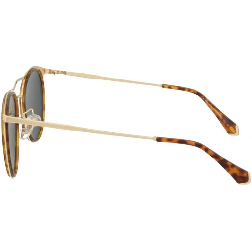 AVANGLION 1010 51P - OchelariDirect