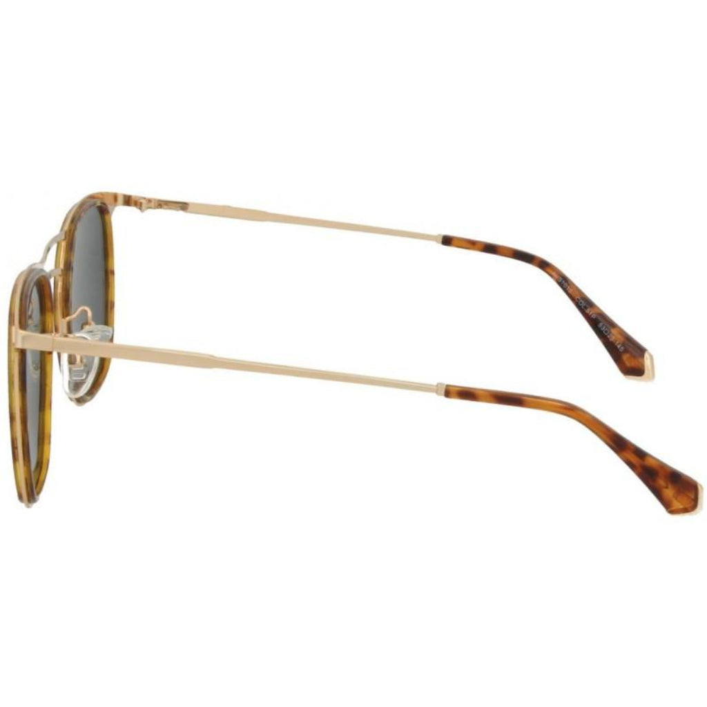 Avanglion 1015 51P - OchelariDirect